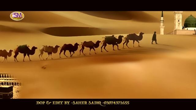 ZULFA WALLAIL RANGLAY NAIN {2019} SHAHBAZ QAMAR FREEDI смотреть онлайн