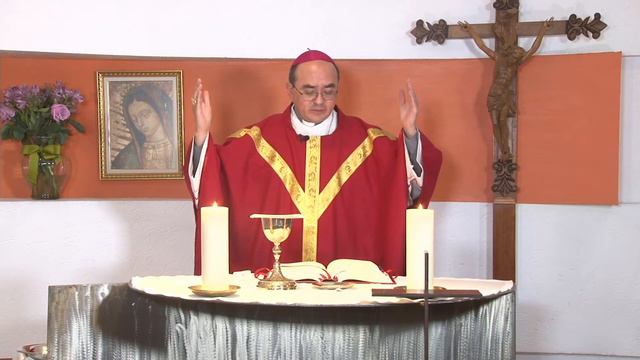 Santa Misa presidida por Mons. Salvador González. 28/10/2020 смотреть онлайн