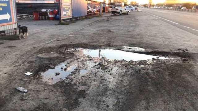 Процесс поиска хабара для мастерской в металлоломе, печальный итог одного дня. (37-я серия) смотреть онлайн