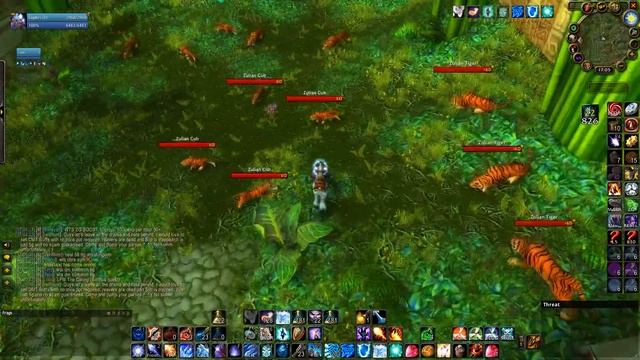 Зул'гуруб, подробный гайд. Один пулл гномом-магом (11 паков) смотреть онлайн