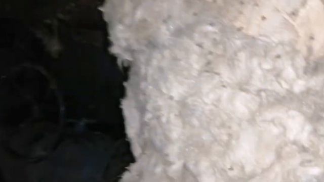 НедоСталк (50№) : Заброшенные катакомбы под городом. Самое ужасное место в мире! смотреть онлайн