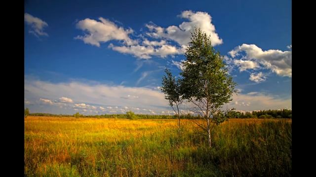 Тютчев Есть в осени первоначальной avi смотреть онлайн