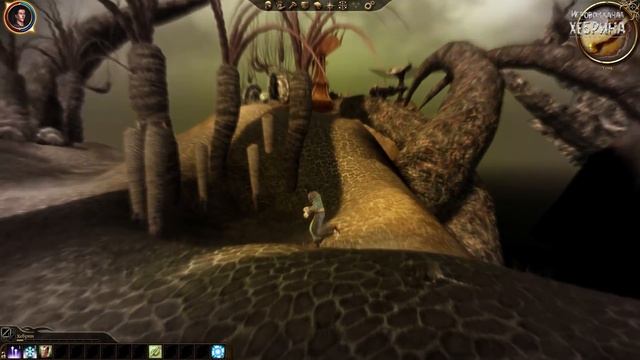 Dragon Age Origins - Часть 1 (Незавидная судьба) смотреть онлайн