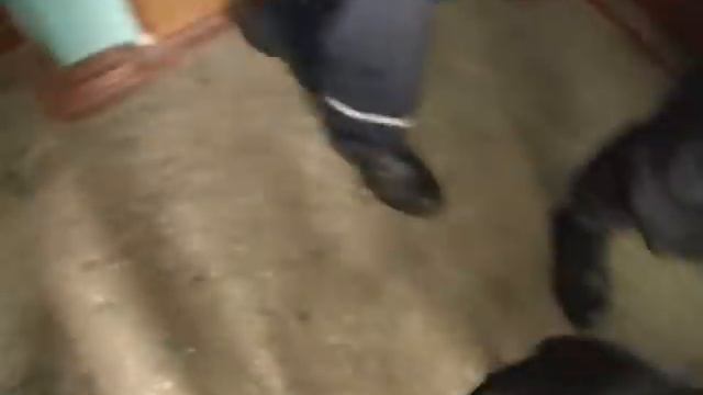 "Собака МЧС Даша нашлась". 15- 02-2006 смотреть онлайн