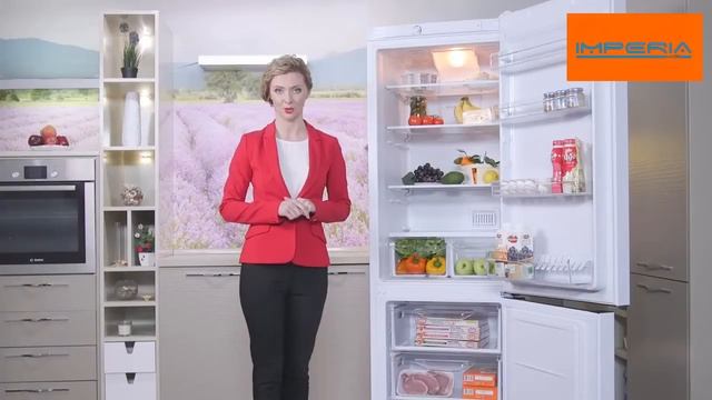 Холодильник INDESIT DF 4180 W смотреть онлайн