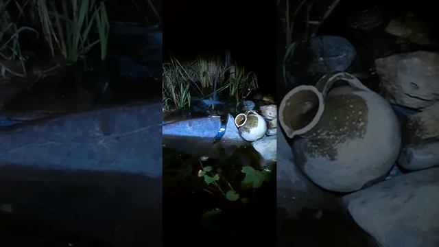 пруд на даче, ночью смотреть онлайн