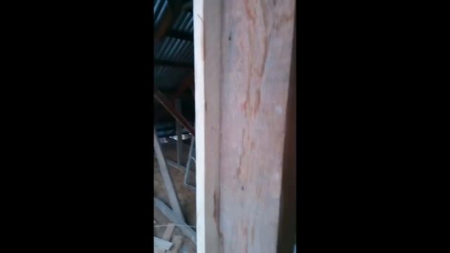 Аккумуляторная циркулярка DEXTER обзор смотреть онлайн