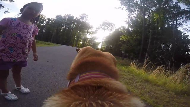 GoPro | Sharpei adventures at Two Rivers Park, Arkansas смотреть онлайн