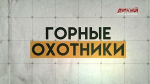 Охота в Карачаево-Черкесии на кубанского тура. Виталий Волков. Горные охотники