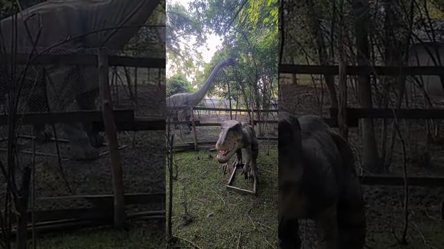 Сафари Парк а Краснодаре смотреть онлайн