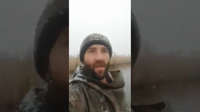 Озеро «Волчьи ворота», Новоселицкий район, Ставропольского края сегодня 18 декабря 2022. смотреть онлайн