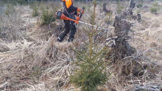 Taimikon raivausta- husqvarna 545 fx смотреть онлайн