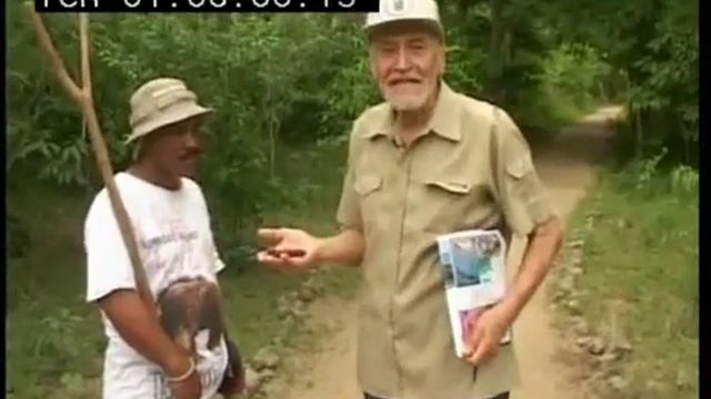 В мире животных Кофе из какашек смотреть онлайн