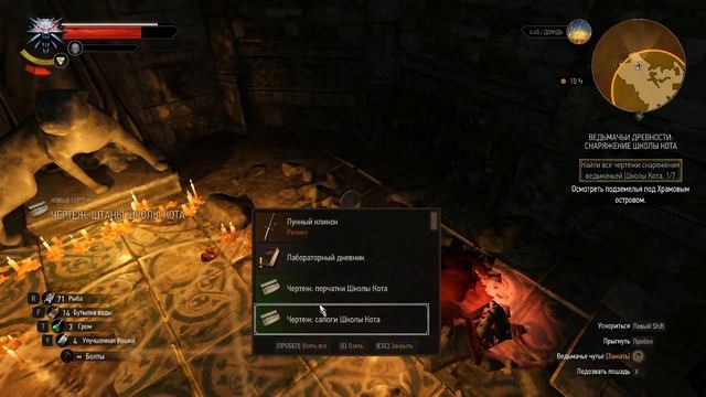 Где найти ДОСПЕХИ ШКОЛЫ КОТА! (1-й сет, начальный комплект)