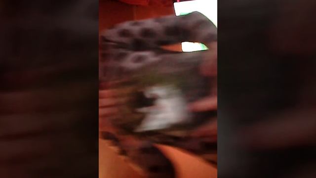 Танець крила смотреть онлайн