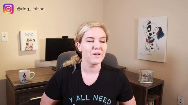 BEST Dog Training Books for Anxious or Aggressive Dogs смотреть онлайн