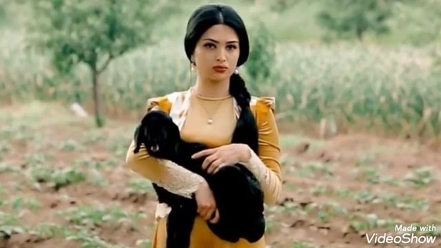 Улугбек.бахши.нелуфар смотреть онлайн