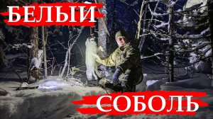 ОХОТА НА СОБОЛЯ Серия № 21 Добычливый капкан КП