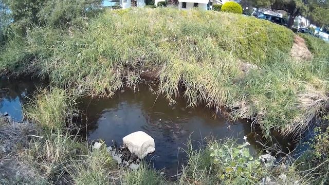 Greece Halkidiki Toroni Turtle River 2016 "Черепашья река" в Торони смотреть онлайн