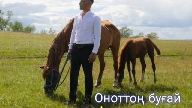 Саид Билалов Оноттон бугай смотреть онлайн