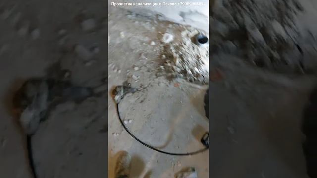 Влажные салфетки забили канализацию.Прочистка канализации гибким валом с цепной насадкой в подвале. смотреть онлайн