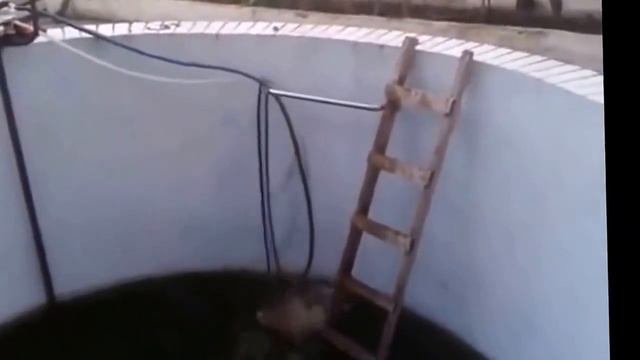 Тест на психику, попробуй не засмеяться, ты не можешь потому что ты псих:) смотреть онлайн