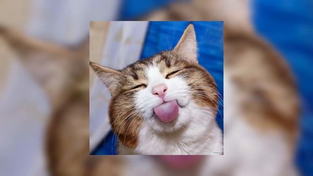 Натали-ветер с моря дул (sped Up)