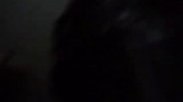 Грибы вещенка растут в квартире, сбор грибов и мутантов смотреть онлайн