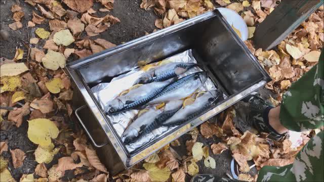 Живу в Королеве