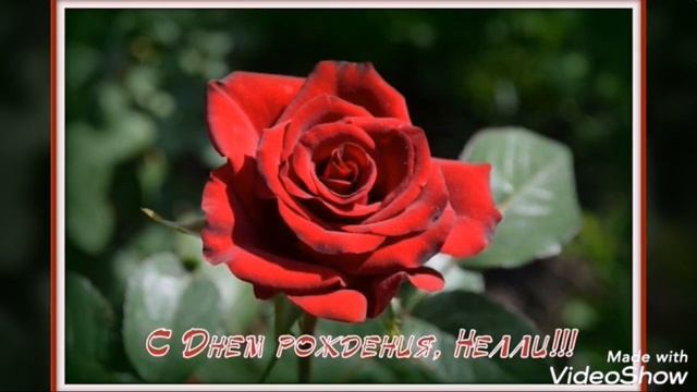 С ДНЁМ РОЖДЕНИЯ НЕЛЯ!!!? смотреть онлайн