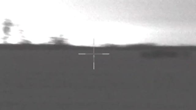 Pulsar Digisight ULTRA N 455 LRF  первая охота.