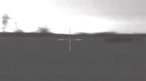 Pulsar Digisight ULTRA N 455 LRF  первая охота.