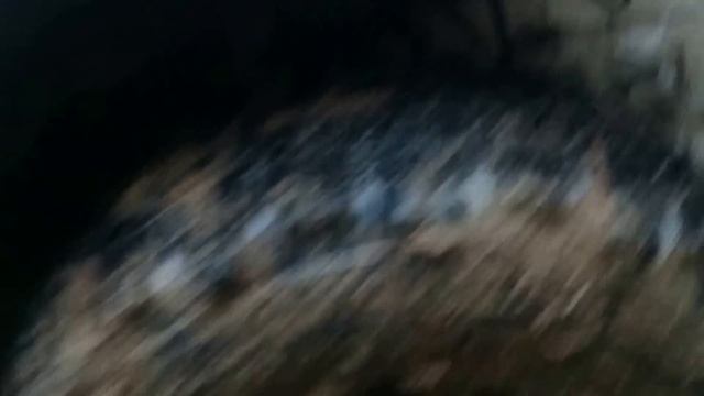 УАЗ Патриот на Simex Jungle 33 прет по колее и разбортируется смотреть онлайн