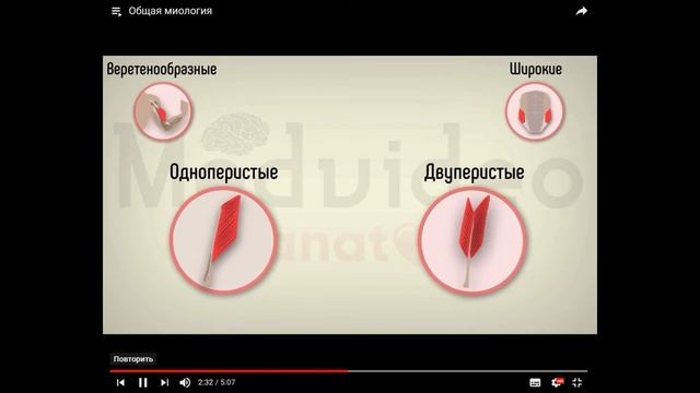 3 Общая миология смотреть онлайн