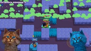 МЕГА БИТВА БРАВЛ СТАРС! НОВЫЙ МИНИ РЕЖИМ В BRAWL STARS Весёлый Кот и КОТЁНОК ЛАЙК