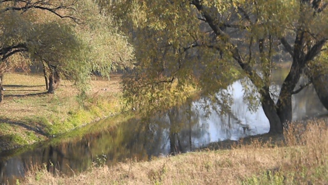 DSCN1461 смотреть онлайн