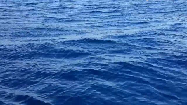 Беграунд, гладь воды Красного Моря. смотреть онлайн