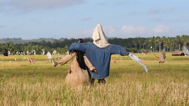 Creepypasta: The Scarecrow Game (Reddit)