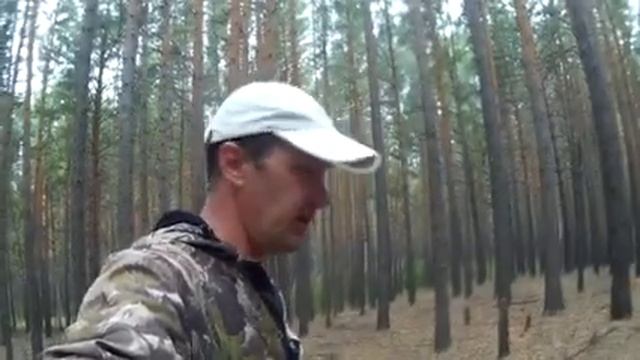 Поход за грибами! Рецепт засолки грибов по деревенски. смотреть онлайн