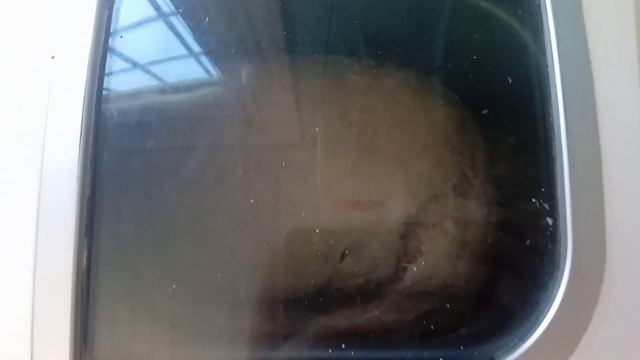 Найкращий рецепт хліба!\Домашній хліб в хлібопічці\Vnicaa