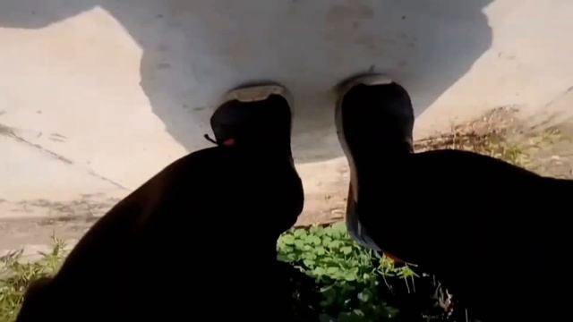 angry man vs parkour pov 🥺😡 смотреть онлайн