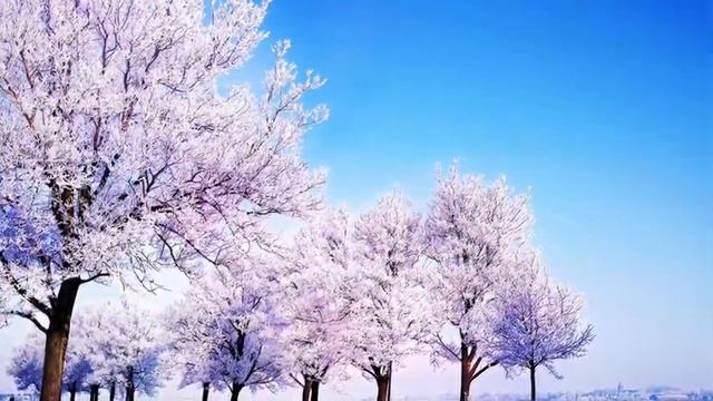 Mузыка Сергея Чекалина! Это Потрясающая, Невероятно Красивая музыка для души, Божественная... смотреть онлайн