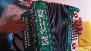 Прощание Славянки - На Гармони!