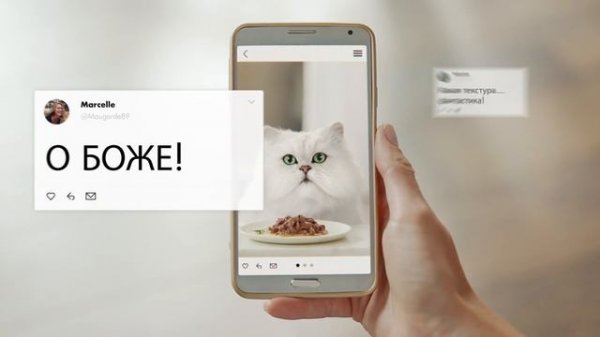 Purina Gourmet Perle Filee RUS