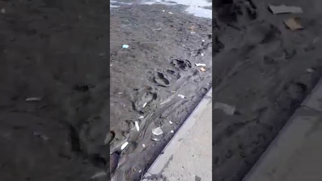 болото у школы