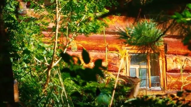 Агафья Лыкова. Как отшельники добывали пищу смотреть онлайн