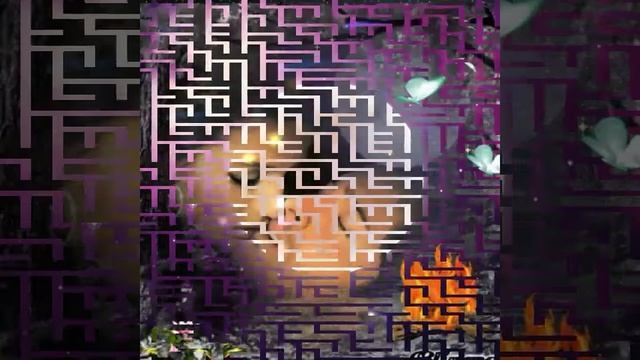 КАРЕГЛАЗАЯ,ЧЕРНОВОЛОСАЯ