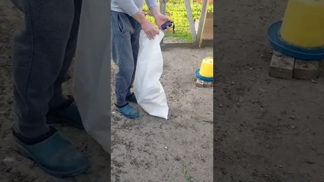 @Ливенская Ситцевая смотреть онлайн