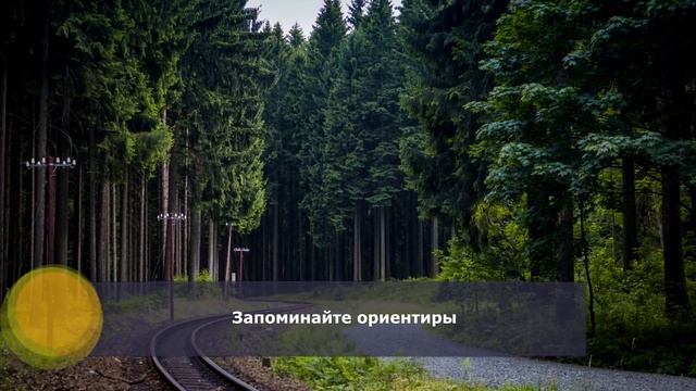 Как не потеряться в лесу и что делать, если заблудился смотреть онлайн