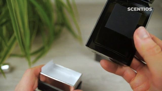 TOM FORD Oud Wood Unboxing смотреть онлайн